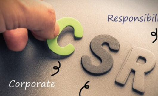 企業(yè)社會(huì)責(zé)任咨詢